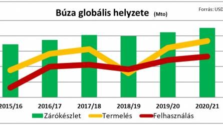 Terményárak: betakarítás előtt itthon is javultak a kilátások