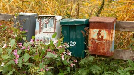 Veszélyt hordozó vetőmagcsomagok a postaládákban