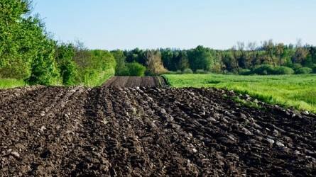 Világszerte csökken a talaj foszfortartalma az erózió miatt