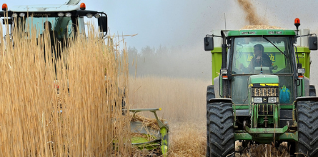A biomassza-termelők igazolásait ellenőrzi a Nébih