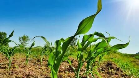 Környezettudatos gazdálkodás: fontos a termelők képzése