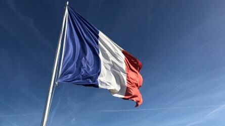 Új csúcson a francia búzaexport