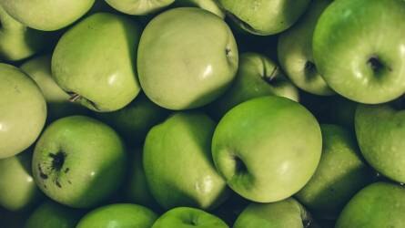 A vártnál gyengébb lehet az európai almatermés