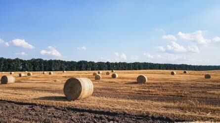 Csökkentették az ukrán gabonaexport kilátásait