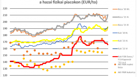 Év végi elcsendesülés előtt