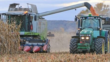 Kukorica betakarítás - Zalában nem ritka a 14 tonna
