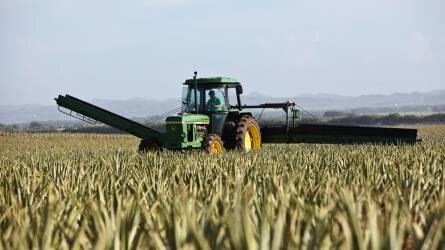 Új technológiák változtatják meg a mezőgazdaságot