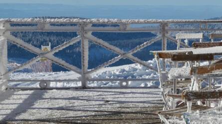 Hogyan lehet megvédeni a teraszon teleltetett növényeket a téli fagy károsításától?
