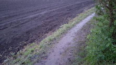 A vetés ötödével végeztek az ukrán gazdálkodók