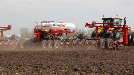 Meddig és hogyan növelhető a kukoricavetés sebessége? - Amerikai szakértők válaszolnak