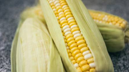 Sok kukoricát vesznek Amerikában a kínaiak