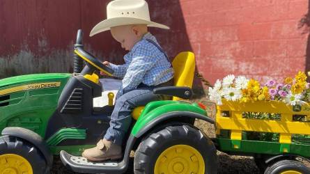 A traktorok, kombájnok és aratógépek ára 7 százalékkal emelkedik