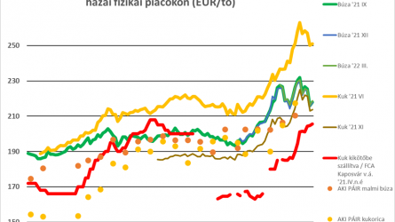 Az USDA becslése új irányt jelenthet 2021/22-re