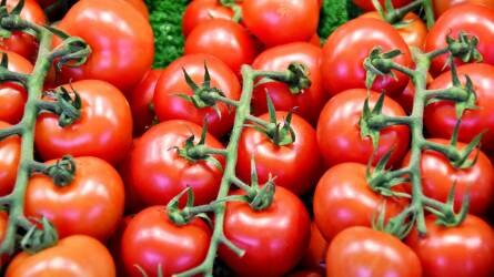 Állami támogatást kapnak az olasz gyümölcs- és zöldségtermelők a koronavírus miatt