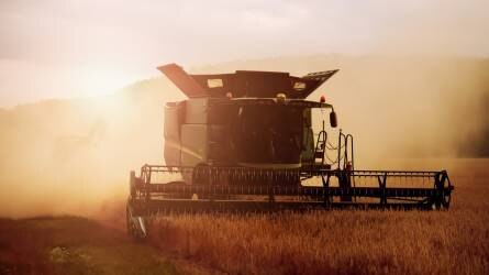 Ukrajnában megkezdték az aratást