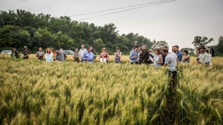 A legjobb mezőgazdasági gyakorlatokat mutatták be az ökokutatók