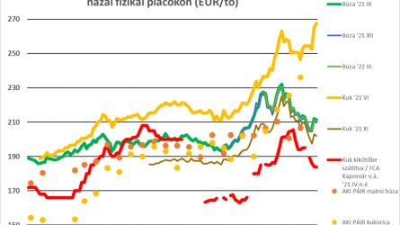 Terménypiac: kedvező feltételek a világban – csökkenő árak