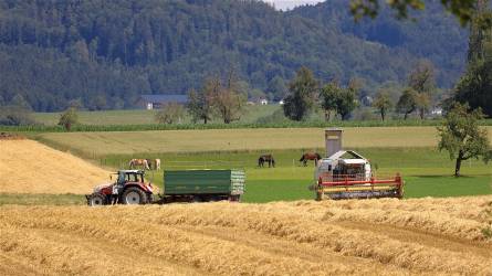 Az esőzések miatt jobb minőségű lehet az európai gabonatermés