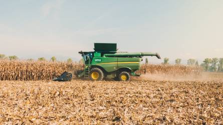 Rekordméretű lehet az ukrán kukoricatermés ebben a szezonban