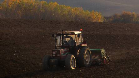 Az őszi gabona vetésének csaknem ötödével végeztek Ukrajnában