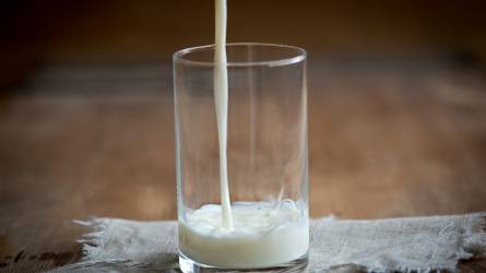 Tejtermelés és tejipar – nem bizakodhatunk csak a támogatásban