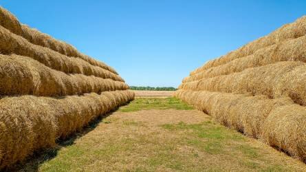 Közelít a 15 millió tonnához az ukrán gabonaexport