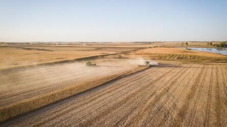 Az Ukrajnából beérkező gabonaimport megfékezését kérte hat tagállam