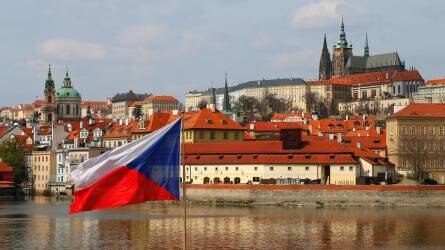 Csehországban 7,23 millió tonna gabonát takarítottak be