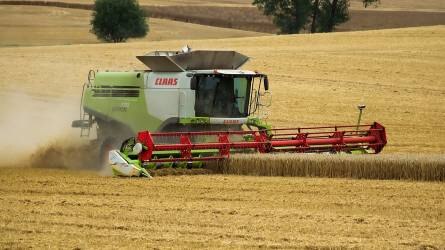 Az aratás csaknem háromnegyedével végeztek az ukránok