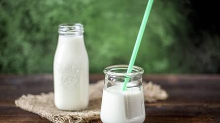Már októberben megkezdődik a tejtermelést segítő támogatások kifizetése