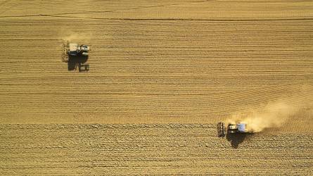 Ötmillió tonna volt az ukrán gabonaexport októberben