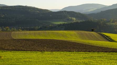 Az őszi vetésű gabona nagy része jó állapotban van Ukrajnában