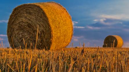 Az ukrán gabonaexport eddig 18 százalékkal nőtt