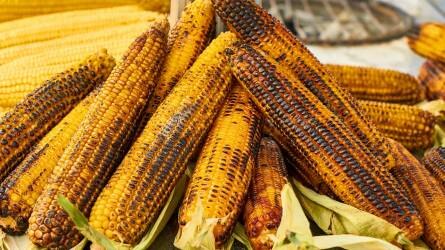 A jó ukrán kukoricatermés az USA pozícióit is befolyásolja