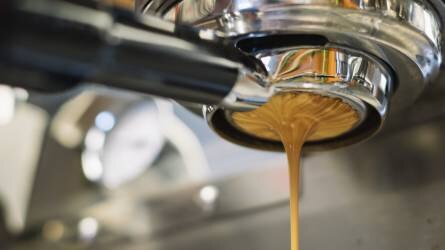 A kávétermelés egyre többet árt a bolygónak