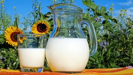 Egyre jobban emelkedik a tej ára Európában