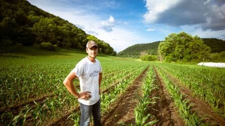 A fiatal gazdálkodók több mint fele a saját földjét műveli