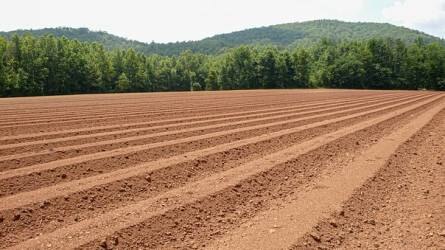 Talajdegradációs folyamatok: talajsavanyodás