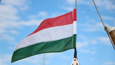 A német agrárkereskedő bírálja Magyarországot a gabonaexport leállítása miatt