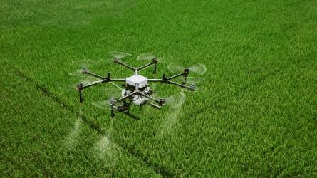 Növényvédelmi drónpilóta képző intézmények jelentkezését várja a Nébih