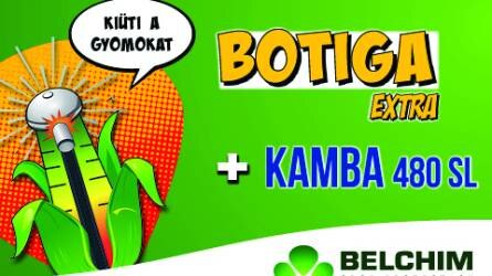 BOTIGA EXTRA + KAMBA -  Kompromisszumok nélküli megoldás a kukorica gyomirtásában