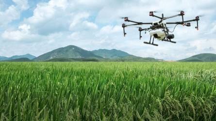 Tetten ért a Nébih jogsértő drónos növényvédelmi szolgáltatókat