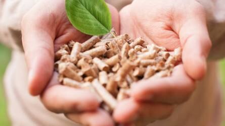 WWF: Van-e elég fenntartható biomassza Magyarországon?