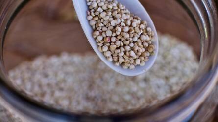 A quinoa egyre szélesebb körben terjedhet