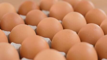 Innováció a tojás élelmiszeripari felhasználásában