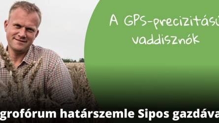 GPS-precizitású vaddisznók a kukoricasorokban - Agrofórum határszemle Sipos Gazdával