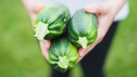 A 10 legkönnyebben termeszthető otthoni zöldségféle