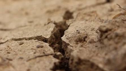 Magyarország talajtípusai VII.: kőzethatású talajok
