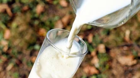 Nincs vevő a tejre: demonstráltak az erdélyi gazdák