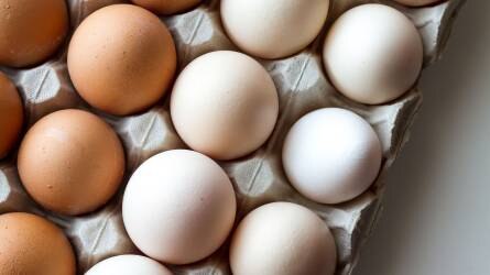 Így változott a tojás ára